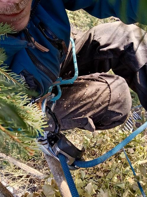 Tuinman / boomverzorging / houthakker / schrijnwerker, Diensten en Vakmensen, Tuinmannen en Stratenmakers