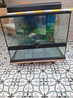 Terrarium, Dieren en Toebehoren, Ophalen, Zo goed als nieuw