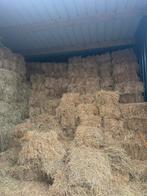 Foin bio a vendre, Animaux & Accessoires, Enlèvement ou Envoi