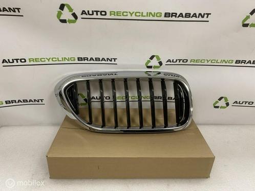 Grill Nier Rechts BMW 5 Serie G30 G31 M-PAKKET 51137390864, Auto-onderdelen, Carrosserie, BMW, Gebruikt, Ophalen of Verzenden