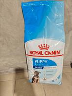 Hondenbrokken puppy, Dieren en Toebehoren, Ophalen