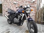 Kawasaki er-5 twister project, Motoren, Motoren | Kawasaki, 2 cilinders, Particulier, Meer dan 35 kW, 500 cc