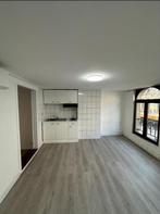 Volledig gerenoveerd appartement te huur - Antwerpen, Immo, Appartementen en Studio's te huur, Antwerpen (stad)