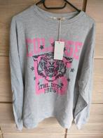 Nieuwe trui maat m, Enlèvement, Comme neuf, Taille 38/40 (M)