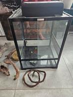 Komodo terrarium 45x45x60, Dieren en Toebehoren, Reptielen en Amfibieën | Toebehoren, Ophalen, Zo goed als nieuw