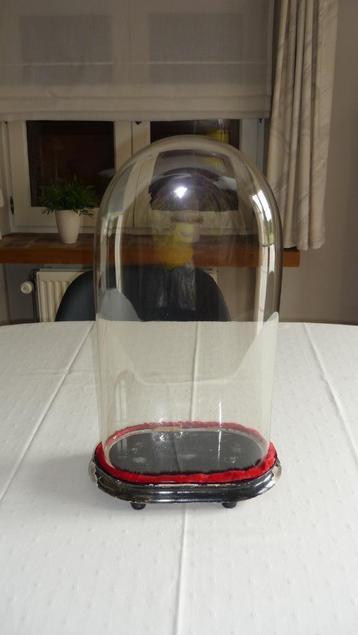 Antieken glazen stolp beschikbaar voor biedingen