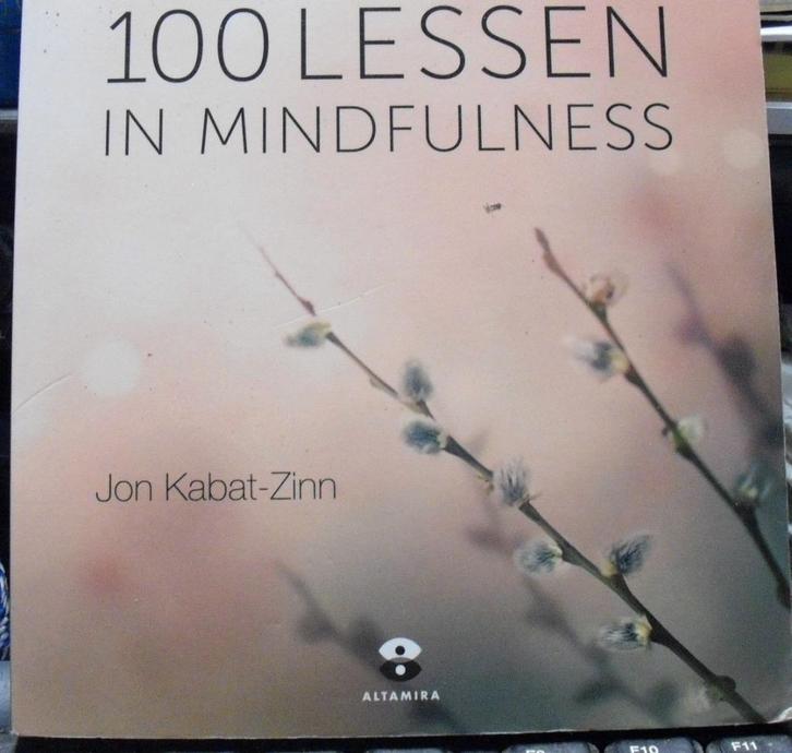 100 lessen in mindfulness, Jon Kabat-Zinn, Boeken, Esoterie en Spiritualiteit, Zo goed als nieuw, Verzenden