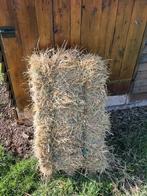 Kleine balen hooi te koop, Dieren en Toebehoren, Ophalen
