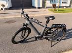 Te Koop: Gazelle Eclipse Speed-pedelec met 750 Wh accu, Fietsen en Brommers, Ophalen, Gazelle