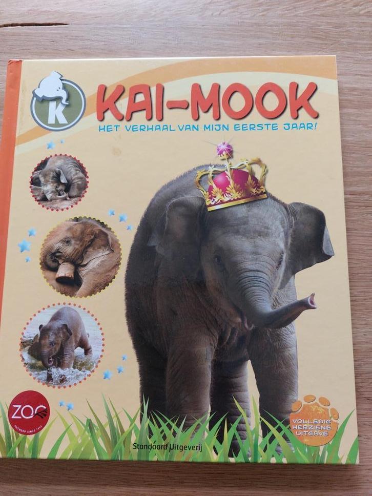Kai-Mook boek en verkleedpak, Boeken, Kinderboeken | Jeugd | onder 10 jaar, Zo goed als nieuw, Ophalen of Verzenden