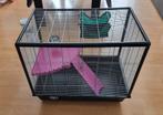 Cage 70H 75L sur 40 de large, Animaux & Accessoires, Autres accessoires pour animaux