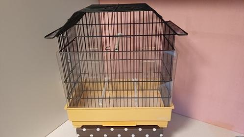 Kooi voor kanarie of parkiet, Dieren en Toebehoren, Vogels | Hokken en Kooien, Vogelkooi, Ophalen of Verzenden