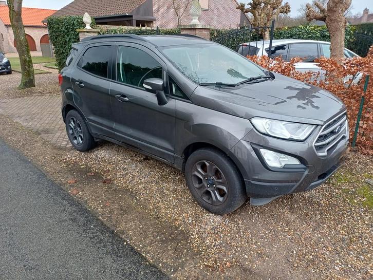 Ford Ecosport 1.0 Ecoboost, Auto's, Ford, Particulier, Ecosport, ABS, Achteruitrijcamera, Adaptive Cruise Control, Airbags, Airconditioning