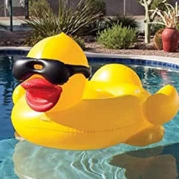 Anneau de bain gonflable LIVRAISON RAPIDE ET GRATUITE, Envoi, Neuf, Autres types
