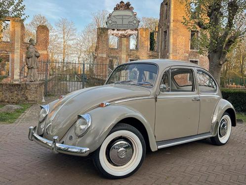 Volkswagen Kever Beetle 1966 L568 Seasand 1300 Bug Käfer, Auto's, Oldtimers, Bedrijf, Volkswagen, Benzine, Overige carrosserie
