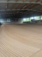 Stallen te huur in eigen beheer, Dieren en Toebehoren, Stalling, 2 of 3 paarden of pony's