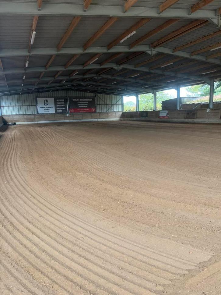 Stallen te huur in eigen beheer, Dieren en Toebehoren, Stalling en Weidegang, Stalling, 2 of 3 paarden of pony's