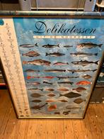 Kader uit vishandel “ delicatessen uit de Noordzee”, Antiek en Kunst, Antiek | Schoolplaten, Ophalen