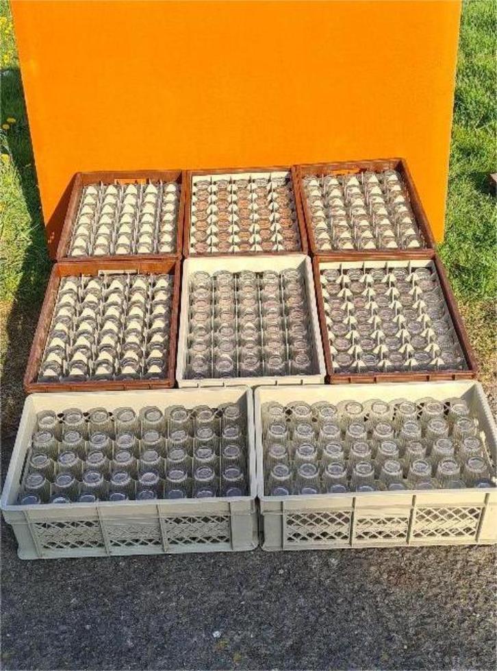 Huit Casiers de rangement de 40 verres à bière, Articles professionnels, Horeca | Autre, Enlèvement