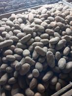 vastkokende aardappelen Nola te koop, Zakelijke goederen, Landbouw | Aardappelen, Groenten, Fruit en Vlees, Ophalen