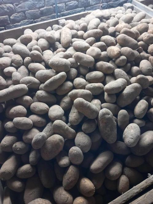 vastkokende aardappelen Nola te koop, Zakelijke goederen, Landbouw | Aardappelen, Groenten, Fruit en Vlees, Ophalen