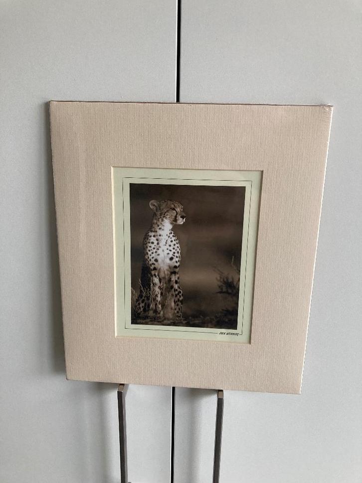 Ingelijste kunstdruk jachtluipaard, Antiquités & Art, Art | Lithographies & Sérigraphies, Enlèvement ou Envoi