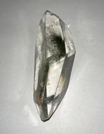 Fantoomkwarts of Tuinkwarts (Lodoliet of Sjamaankwarts), Ophalen of Verzenden, Nieuw