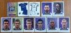 Panini Foot 2013 lot van 11 verschillende Anderlecht!, Ophalen of Verzenden, Zo goed als nieuw, Meerdere stickers
