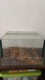 Terrarium, Dieren en Toebehoren, Ophalen, Zo goed als nieuw, Terrarium of Paludarium