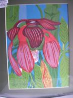 litho - exotische bloem, Ophalen