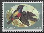 Zambia 1994 - Yvert 587 - Anchieta's honingzuiger  (ST), Postzegels en Munten, Postzegels | Afrika, Verzenden, Zambia, Gestempeld