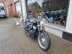 Harley Softail standard FXST- 2021 -6505 km, Motoren, 1746 cc, 2 cilinders, Chopper, Bedrijf