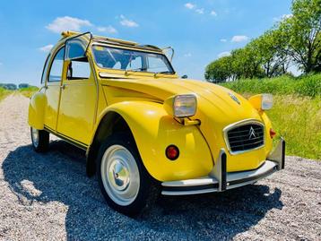 2cv6 CT  Jaune mimosa 08-1980 82.995 km beschikbaar voor biedingen