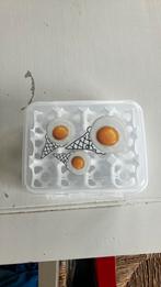 Eierdoos-gereserveerd, Huis en Inrichting, Ophalen, Nieuw, Wit, Overige typen