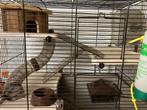 Hamsterkooi, Dieren en Toebehoren, Kooi, Gebruikt, Ophalen, Minder dan 60 cm