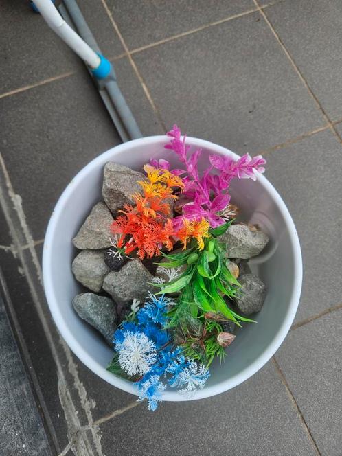 A vendre, Dieren en Toebehoren, Vissen | Aquaria en Toebehoren, Zo goed als nieuw, Ophalen