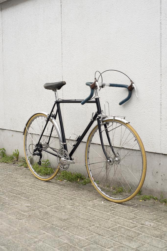 Randonneuse artisanale légère restaurée, Vélos & Vélomoteurs, Vélos | Hommes | Vélos de sport & Vélo de randonnée, Utilisé, Autres marques