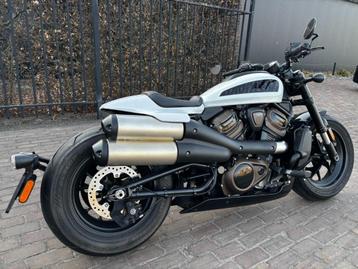 Harley davidson Sportster 1250S beschikbaar voor biedingen