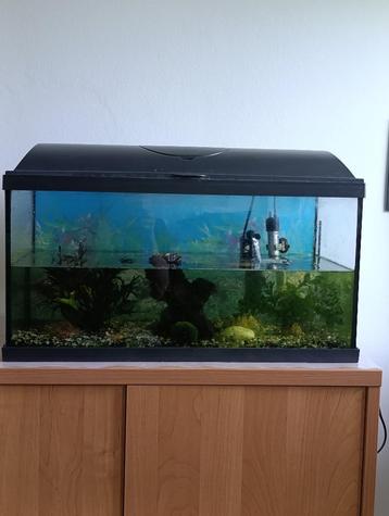 Te koop: Aquarium met toebehoren (ramenwassers + garnalen) beschikbaar voor biedingen