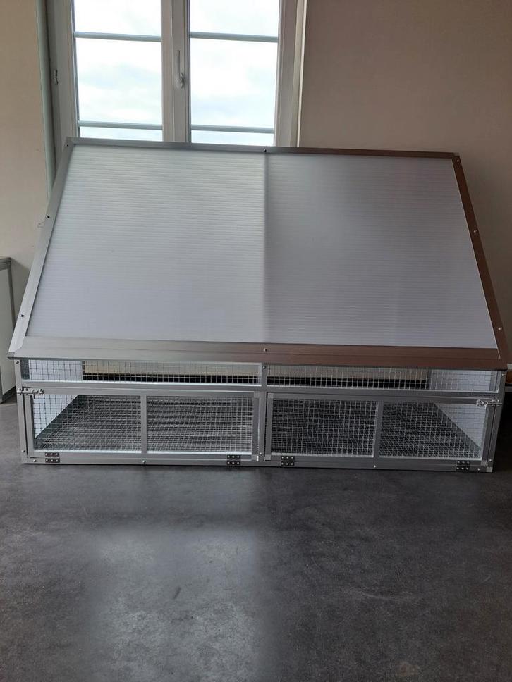 SPOUTNIK. (NOUVEAU), Animaux & Accessoires, Oiseaux | Pigeons