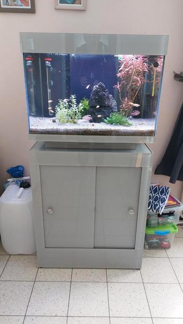 Aquarium complet beschikbaar voor biedingen