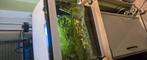 Aquarium 30 l, Dieren en Toebehoren, Ophalen, Zo goed als nieuw