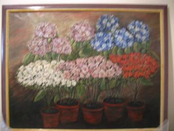 Hortensia's - schilderij beschikbaar voor biedingen