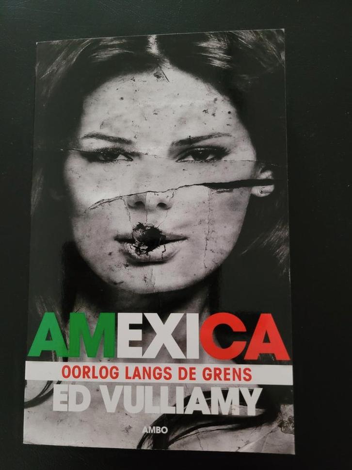 Ed Vulliamy - Amexica, Boeken, Politiek en Maatschappij, Zo goed als nieuw, Ophalen of Verzenden