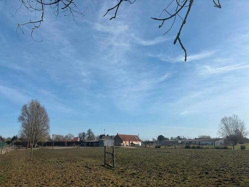 3 stallen en weidegang te huur Booischot, Dieren en Toebehoren, Stalling en Weidegang, Weidegang