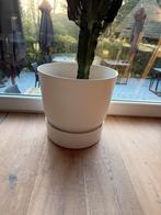 Witte bloempot 30cm diameter, Ophalen, Zo goed als nieuw