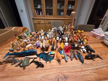 140+ dieren beschikbaar voor biedingen