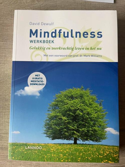David Dewulf - Mindfulness werkboek, Livres, Psychologie, Psychologie cognitive, Enlèvement ou Envoi