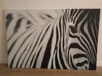 Ikea canvas zebra, Foto of Poster, Zo goed als nieuw, 100 tot 125 cm, Ophalen