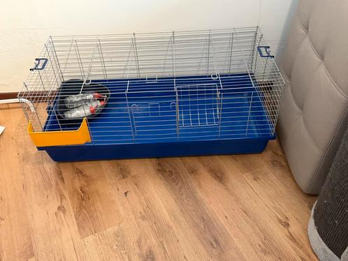 Konijnenkooi, Dieren en Toebehoren, Knaagdieren en Konijnen | Hokken en Kooien, Gebruikt, Minder dan 60 cm, 110 cm of meer, Cavia